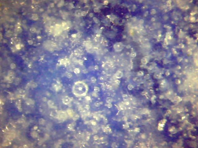 斗彩花鸟青花人物转心赏瓶 第 4 张图片