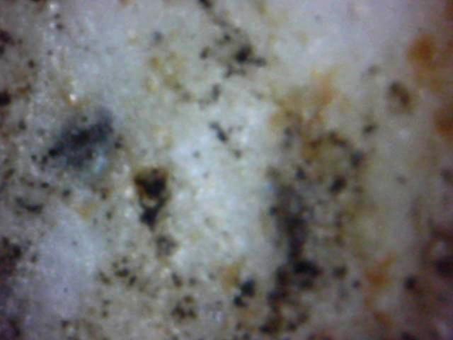 黄地粉彩龙穿花纹大瓶 第 9 张图片
