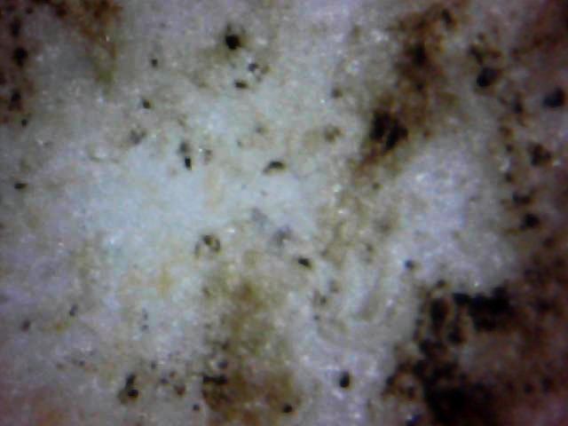 黄地粉彩龙穿花纹贴塑兽双耳大瓶 第 8 张图片